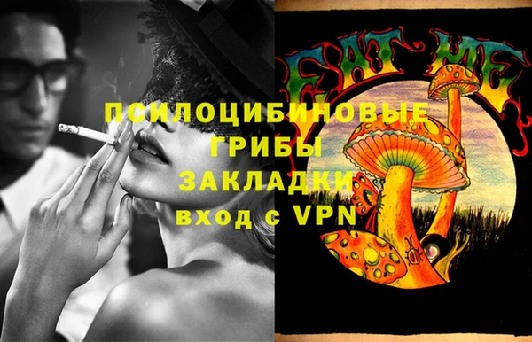 ПСИЛОЦИБИНОВЫЕ ГРИБЫ Аркадак