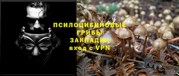 ПСИЛОЦИБИНОВЫЕ ГРИБЫ Аркадак